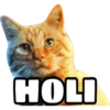 HOLI