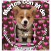 Perritos☆♡ 25