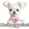 Suaves Lomitos Perritos Pack 24