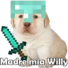 Madre mia Willy