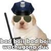 POLICE bad bois bad bois wachugona duż