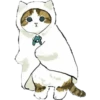 ⓻ Gatitos Hermosos 19