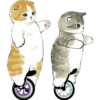 ⓻ Gatitos Hermosos 20