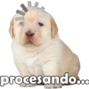 procesando...