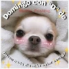 Perritos☆♡ 26