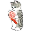 ⓻ Gatitos Hermosos 21