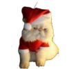CATS 16