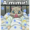 A mimir!