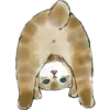 ⓻ Gatitos Hermosos 23
