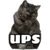 UPS