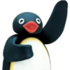 PINGU 20