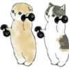 ⓻ Gatitos Hermosos 25