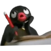 PINGU 21