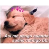 Perritos☆♡ 28
