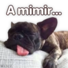 Suaves Lomitos Perritos Pack 25