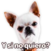 Suaves Lomitos Perritos Pack 26