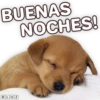 Suaves Lomitos Perritos Pack 27
