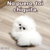 Suaves Lomitos Perritos Pack 28