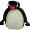 PINGU 25