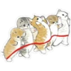⓻ Gatitos Hermosos 28