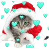 CATS 23