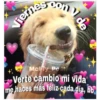 Perritos☆♡ 30