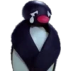 PINGU 26