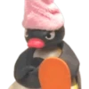 PINGU 27
