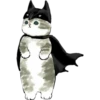 ⓻ Gatitos Hermosos 29