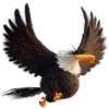 Angry Birds Movie (Rose) 27