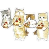 ⓻ Gatitos Hermosos 30