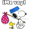 Me voy!
@adolfoojuse
