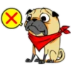 ⍤pεRcy pug⍤ 5