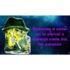 bob cholo 8