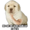 Perrito Meme 6