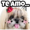 Te Amo... + +