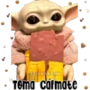 STICKERSMN
Tema Carmate