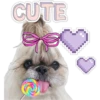 CUTE