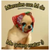 Miercoles con M de
@mood adolescente
Me quiero matar :)