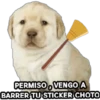 Perrito Meme 7