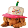 Happy.
Birthdaye