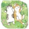 Gatitos hermosos 6 7