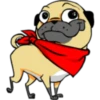 ⍤pεRcy pug⍤ 8