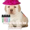 perritos 5