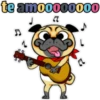 ⍤pεRcy pug⍤ 9