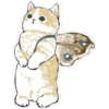Gatitos hermosos 6 8