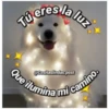 Tú eres la luz
Que ilumina mi camino.
@Cositaslindas.post