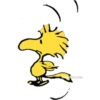 CadolPoojose
