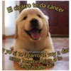 El cigarro te da cáncer
@mood.adolescente.
y yo si te agarro te voy a dar
unos besotes bien a lo
desgraciadx bb