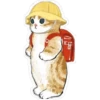 Gatitos hermosos 6 9